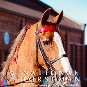 Meet your Posher, Quinn